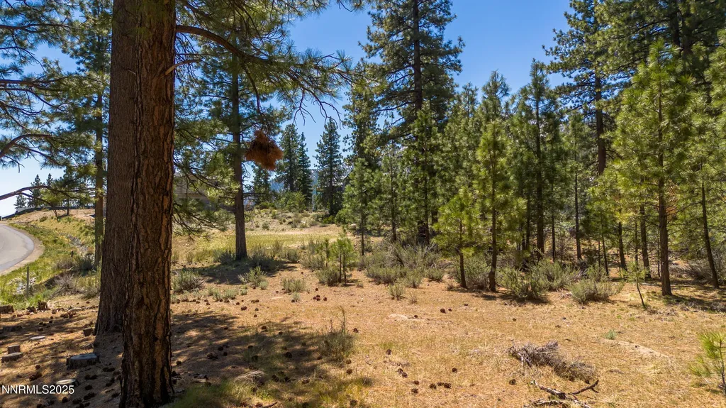 46 Boulders Bend Carson City NV 89705