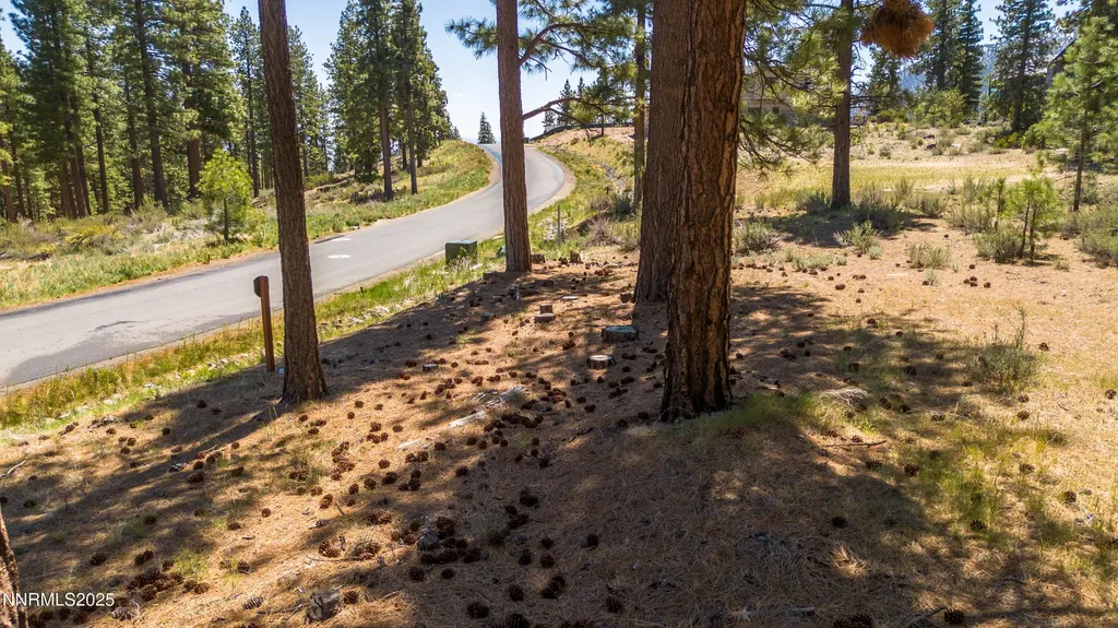 46 Boulders Bend Carson City NV 89705