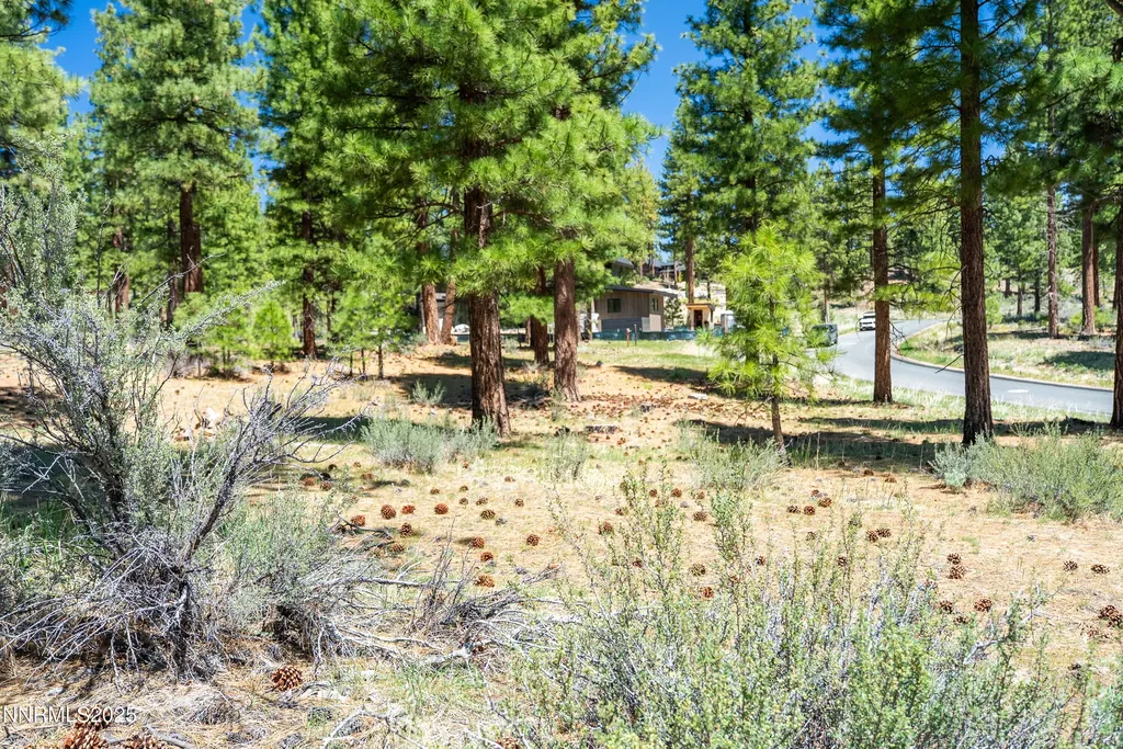 46 Boulders Bend Carson City NV 89705