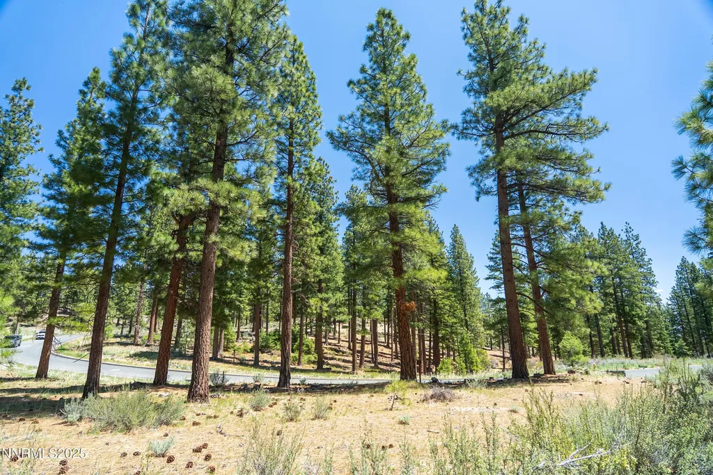 46 Boulders Bend Carson City NV 89705