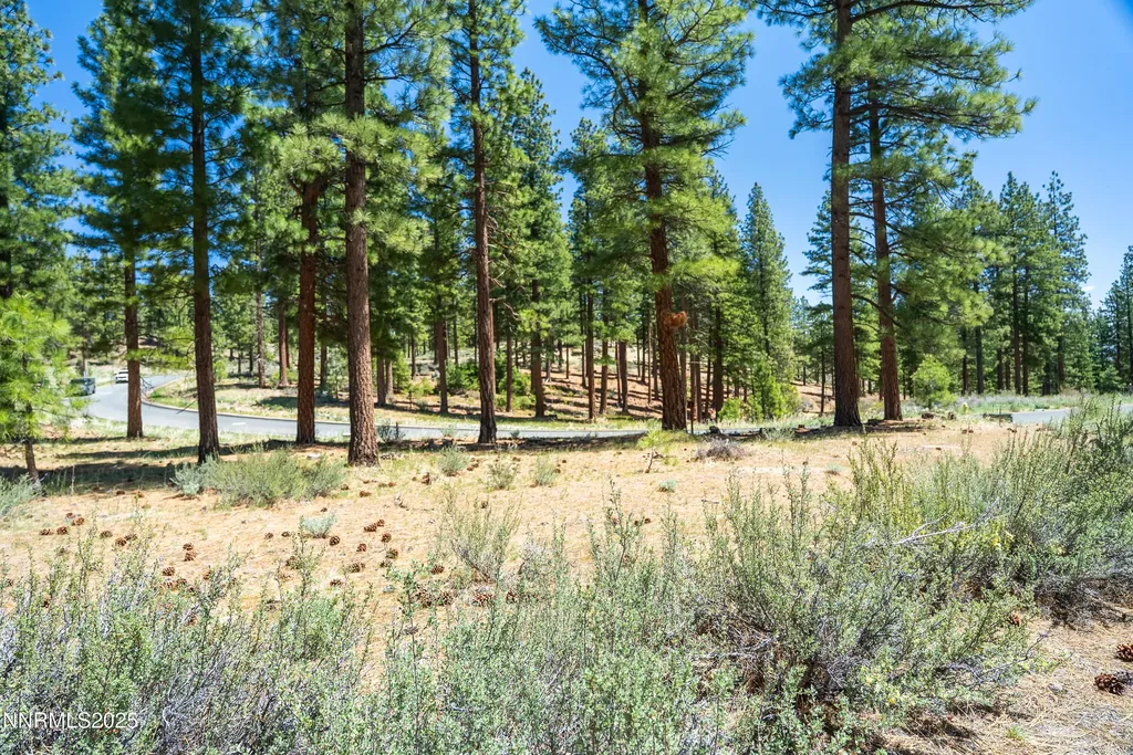 46 Boulders Bend Carson City NV 89705