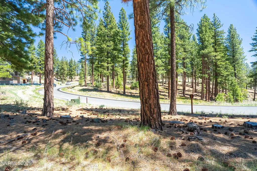 46 Boulders Bend Carson City NV 89705