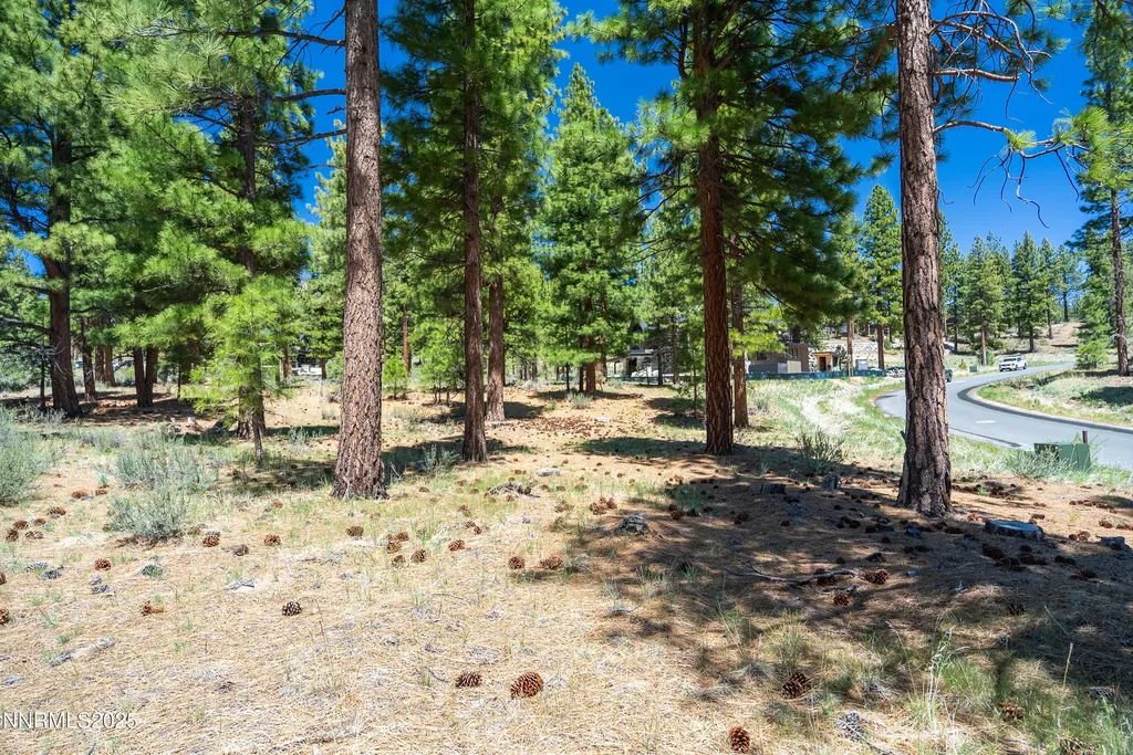 46 Boulders Bend Carson City NV 89705