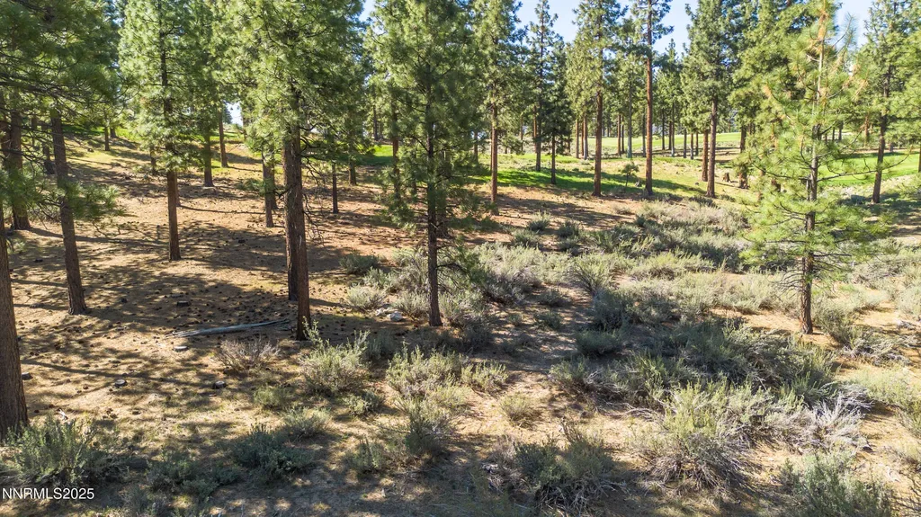 249 Redding Carson City NV 89705