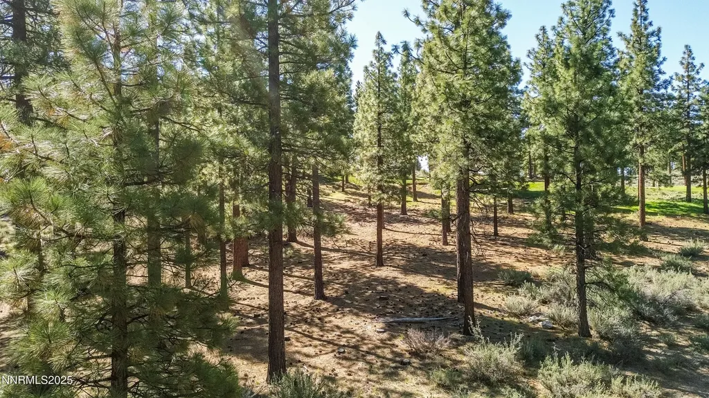 249 Redding Carson City NV 89705