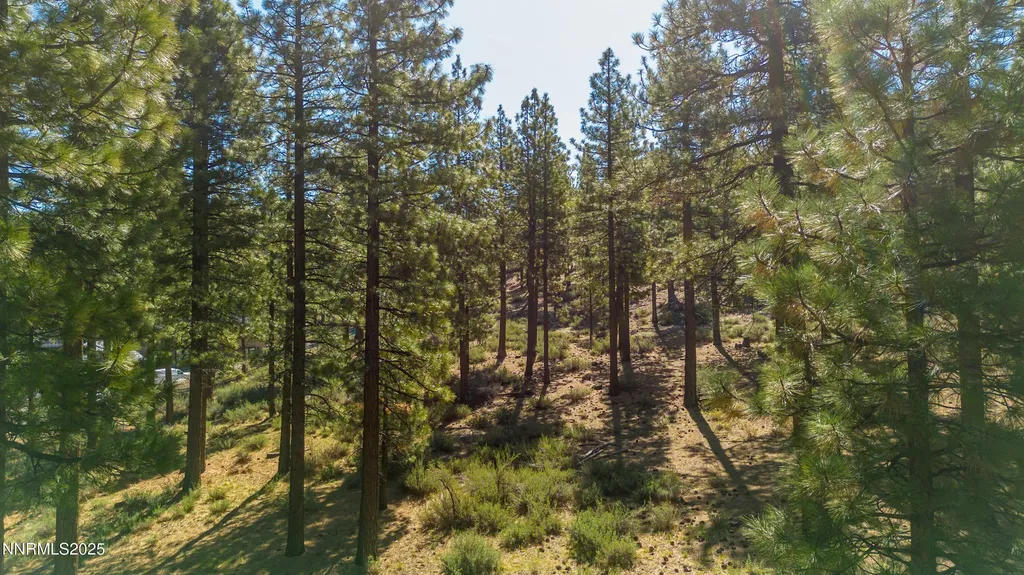 249 Redding Carson City NV 89705
