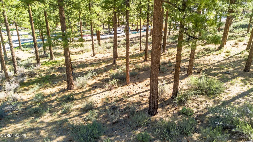 249 Redding Carson City NV 89705