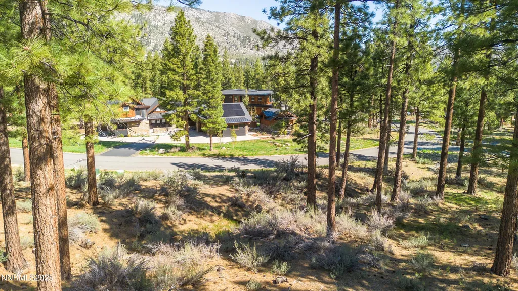 249 Redding Carson City NV 89705