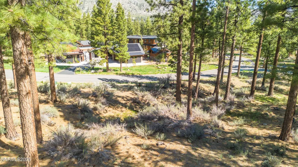 249 Redding Carson City NV 89705