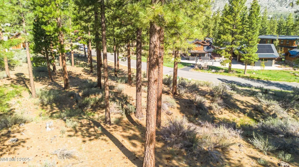 249 Redding Carson City NV 89705