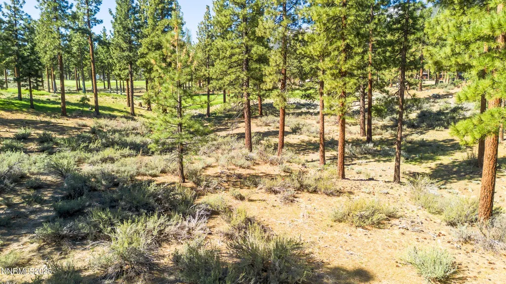 249 Redding Carson City NV 89705