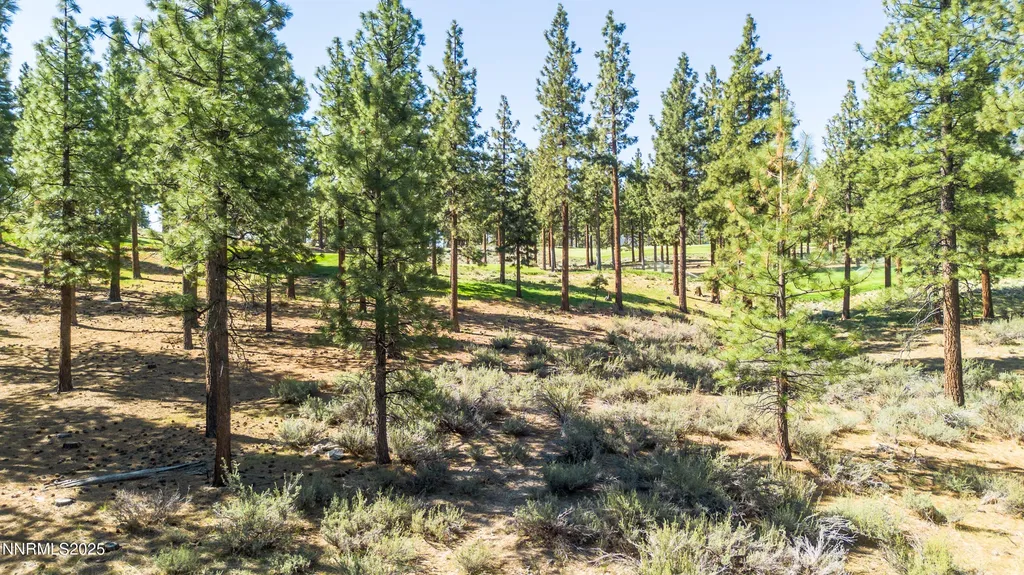 249 Redding Carson City NV 89705
