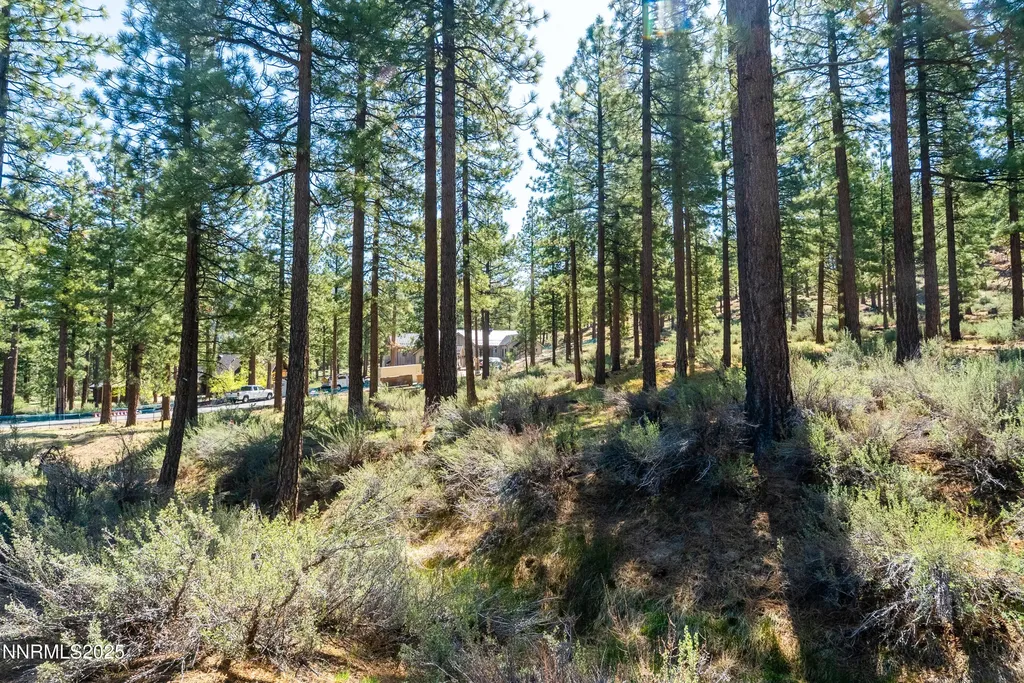 249 Redding Carson City NV 89705