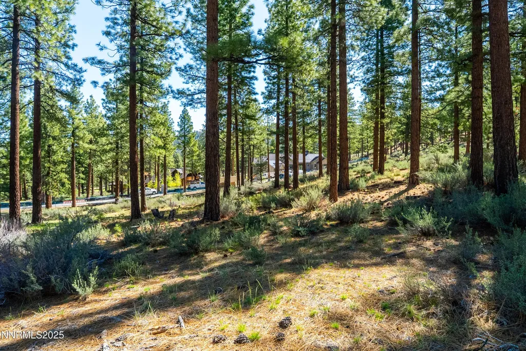 249 Redding Carson City NV 89705