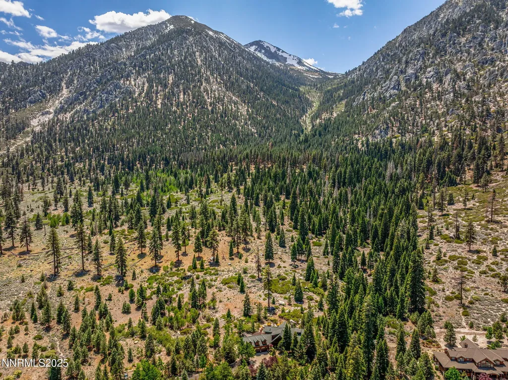 150 Five Creek Gardnerville NV 89460