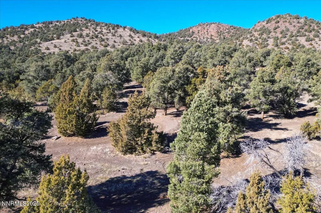 2120 Scorpion Reno NV 89521