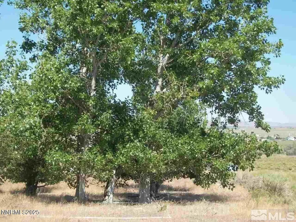 0 Aspen Silver Springs NV 89429