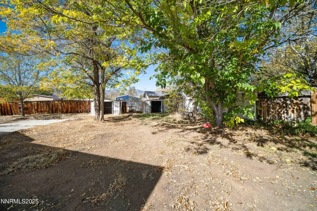 2524 Sneddon Carson City NV 89706
