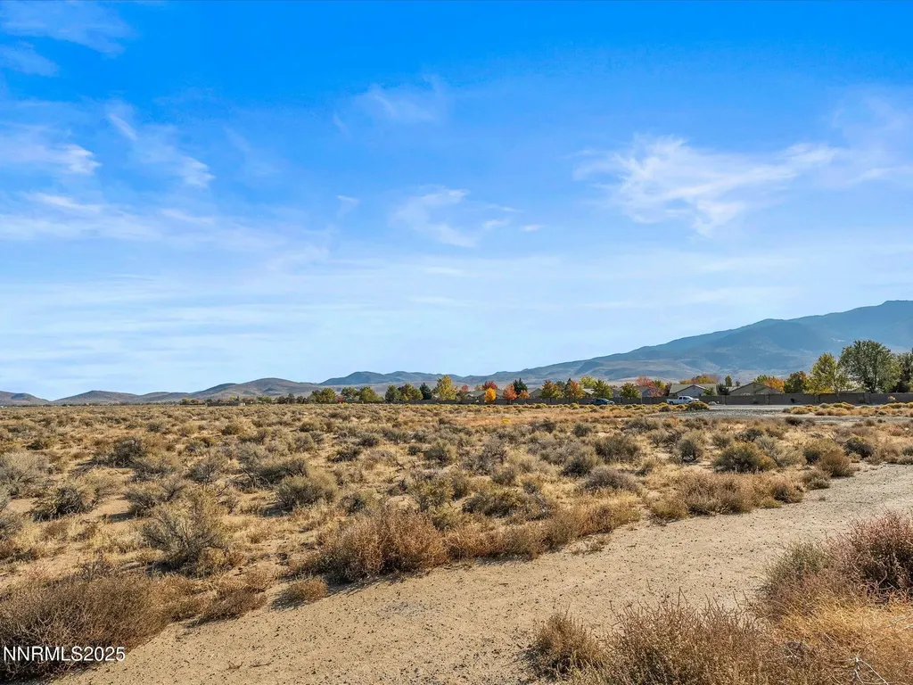 110 Finney Dayton NV 89403