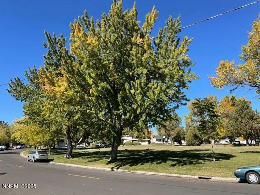 1155 Wesley Reno NV 89503