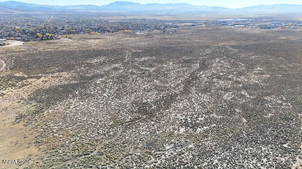 000 Johnson Lane Minden NV 89423