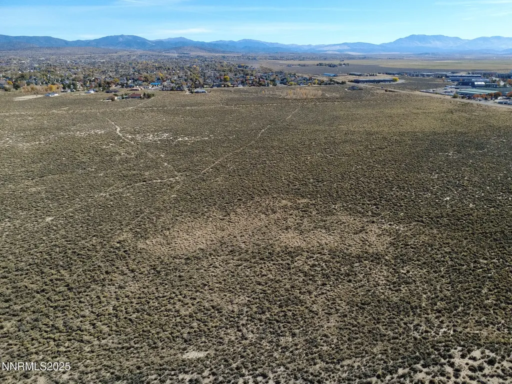 000 Johnson Lane Minden NV 89423