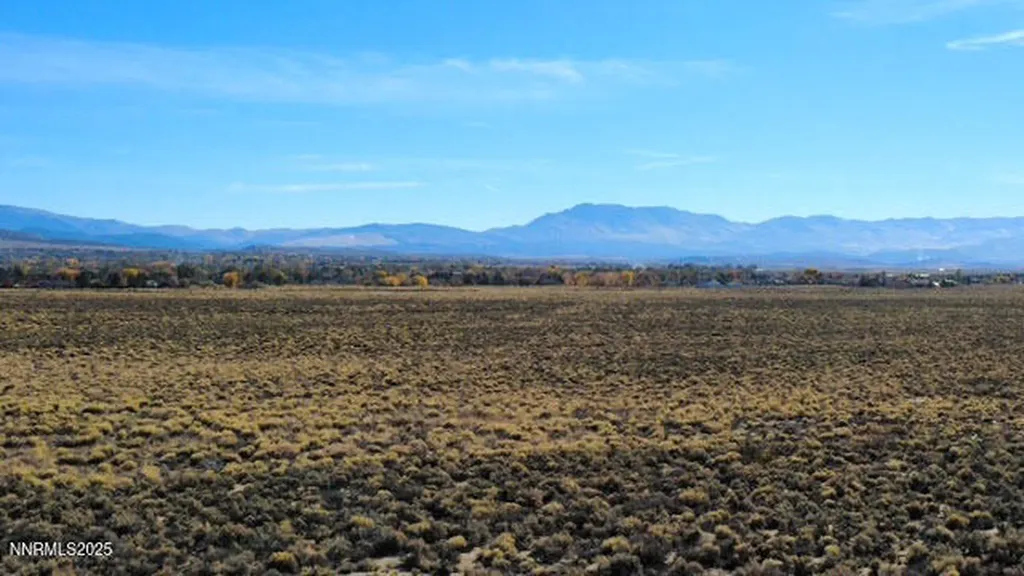 000 Johnson Lane Minden NV 89423