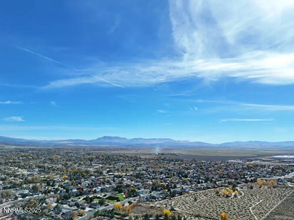 000 Johnson Lane Minden NV 89423