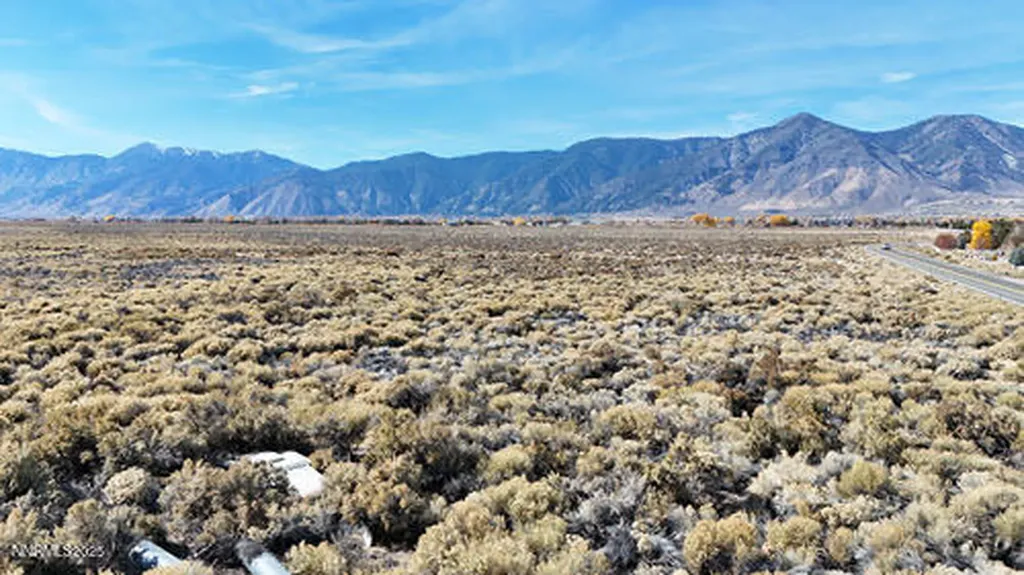 000 Johnson Lane Minden NV 89423