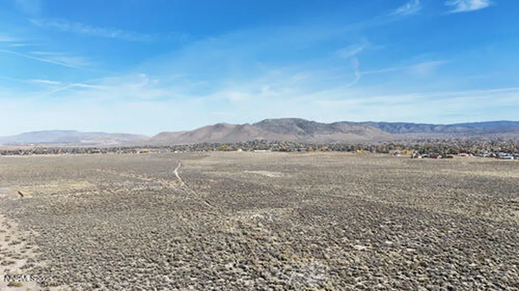 000 Johnson Lane Minden NV 89423