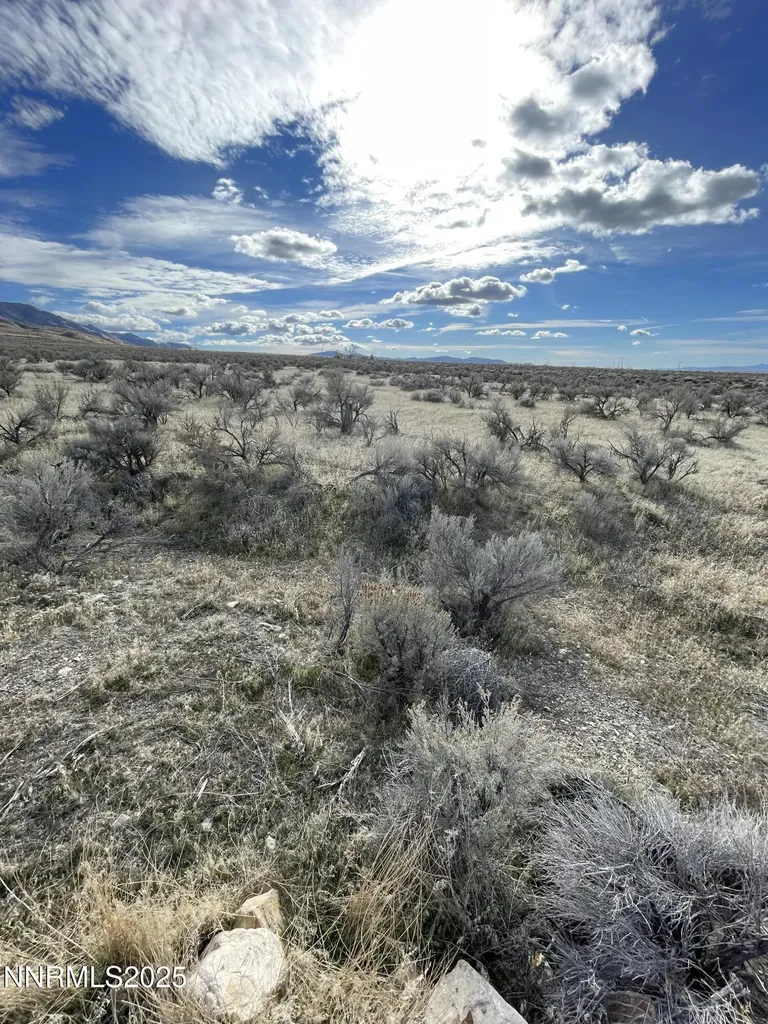 17200 Kirk Lovelock NV 89419