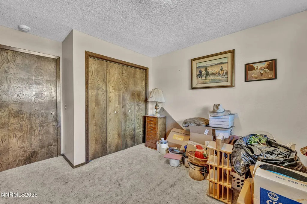 1670 Belarra Minden NV 89423