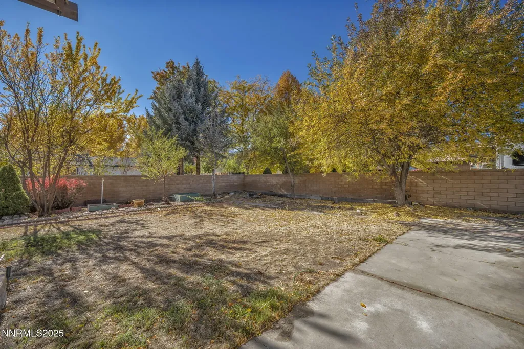 1670 Belarra Minden NV 89423