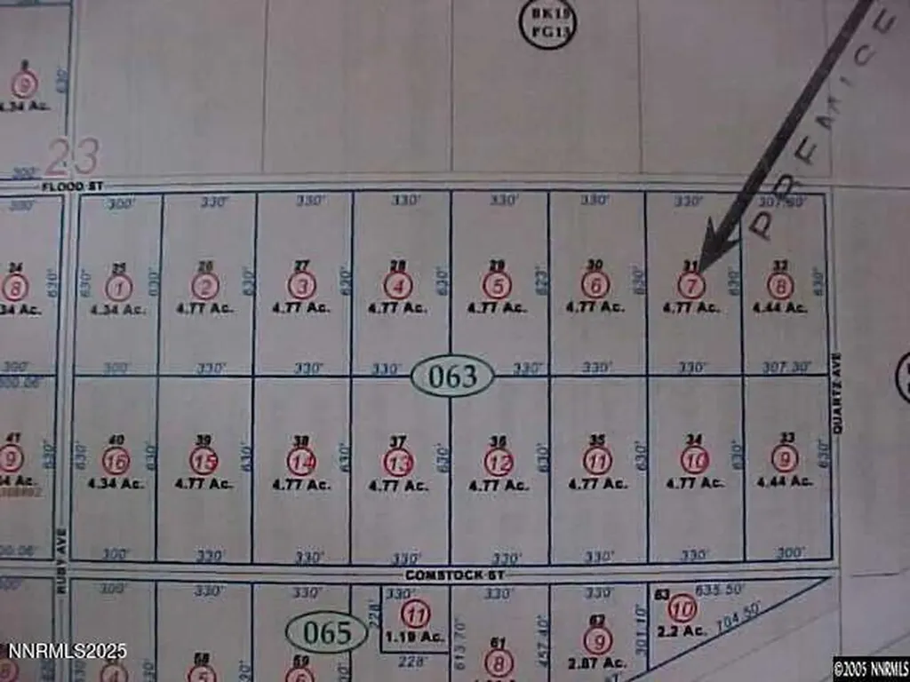 2095 Flood Silver Springs NV 89429