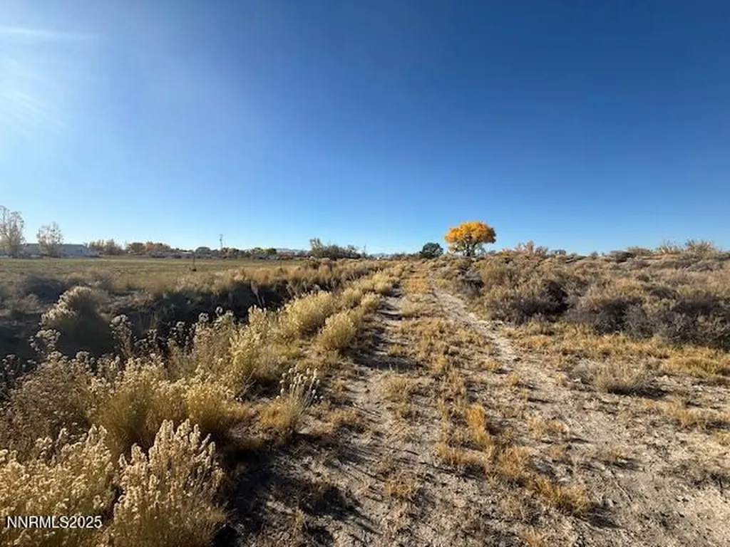 4050 Schindler Fallon NV 89406