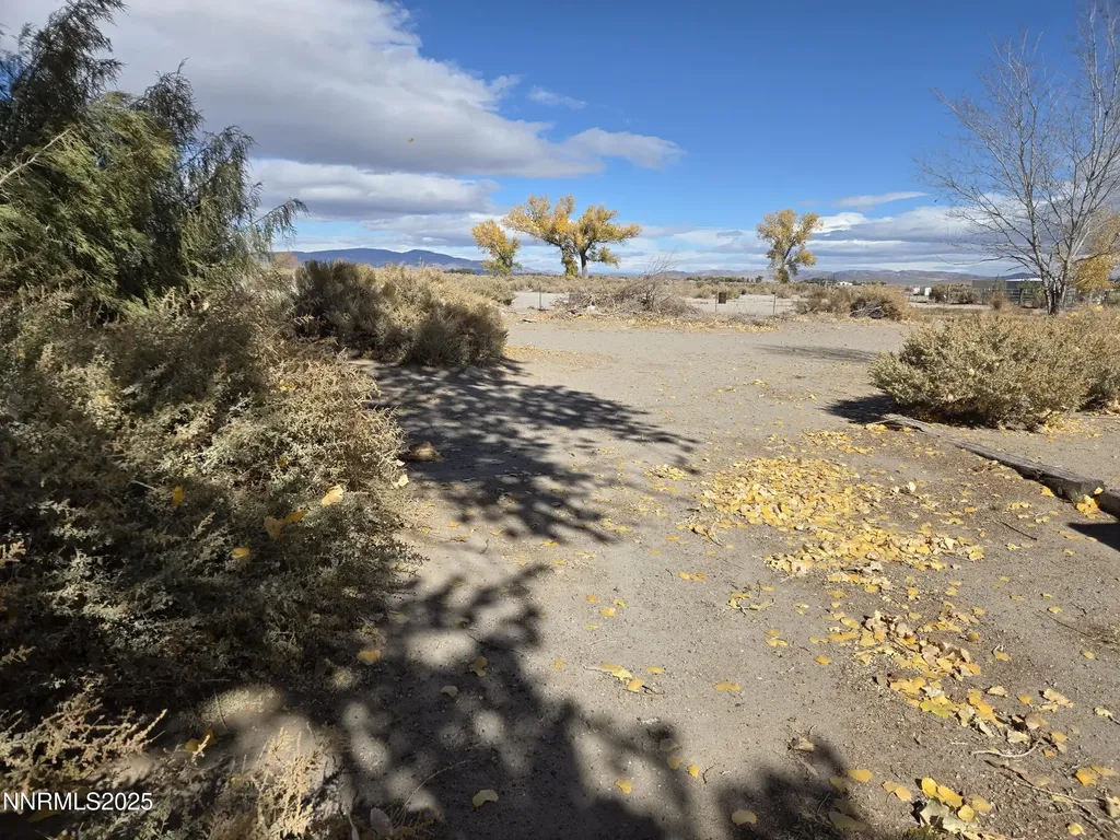 14 Yermo Yerington NV 89447