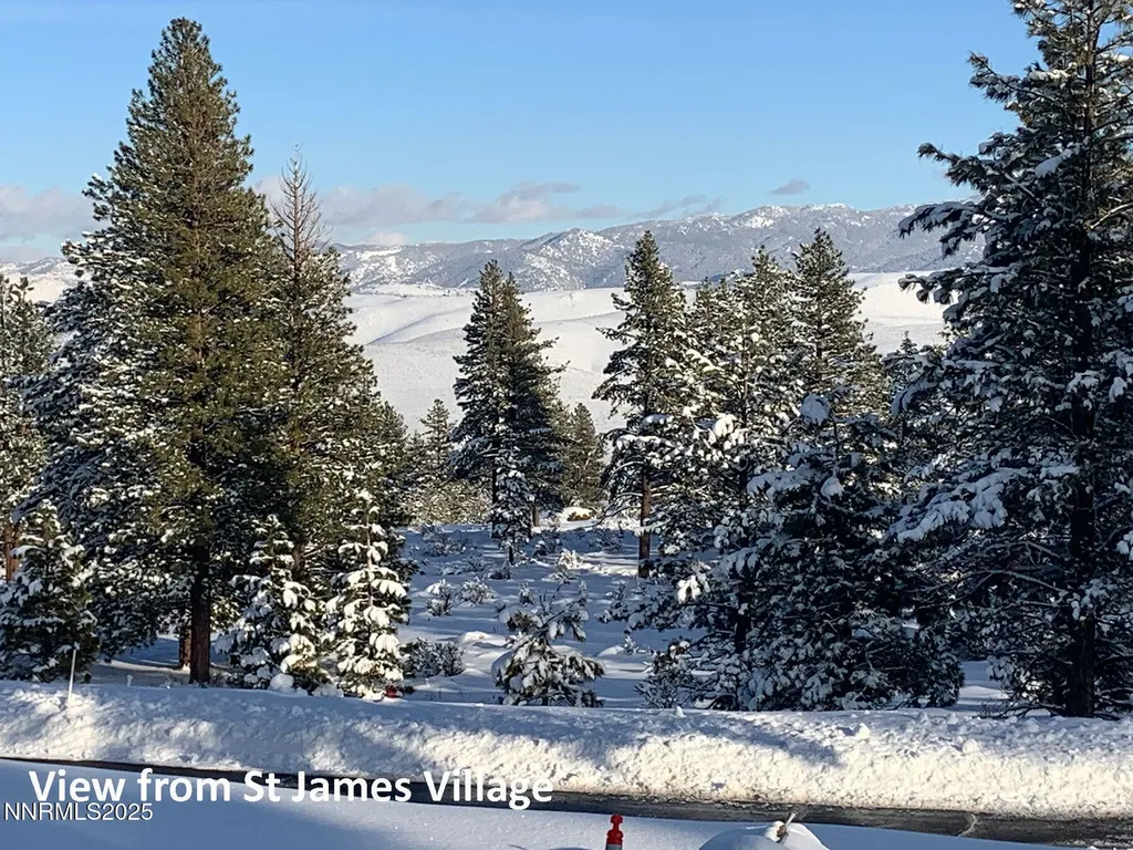 177 Nottingham Reno NV 89511