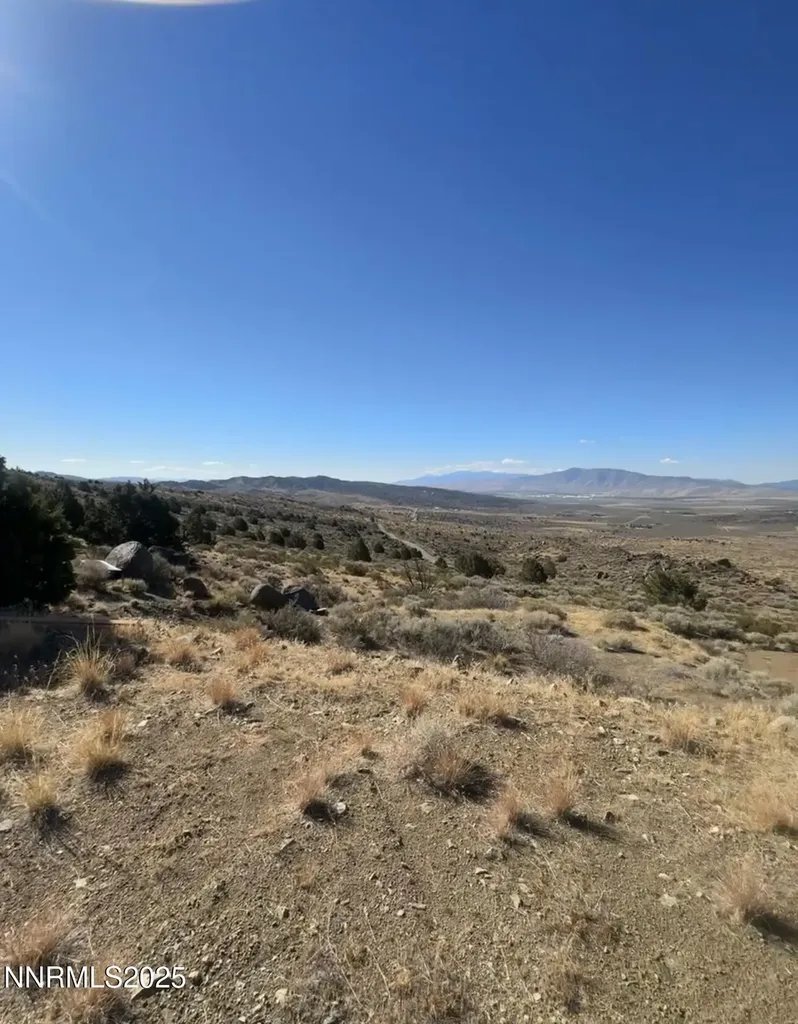 1325 Freds Mountain Reno NV 89508