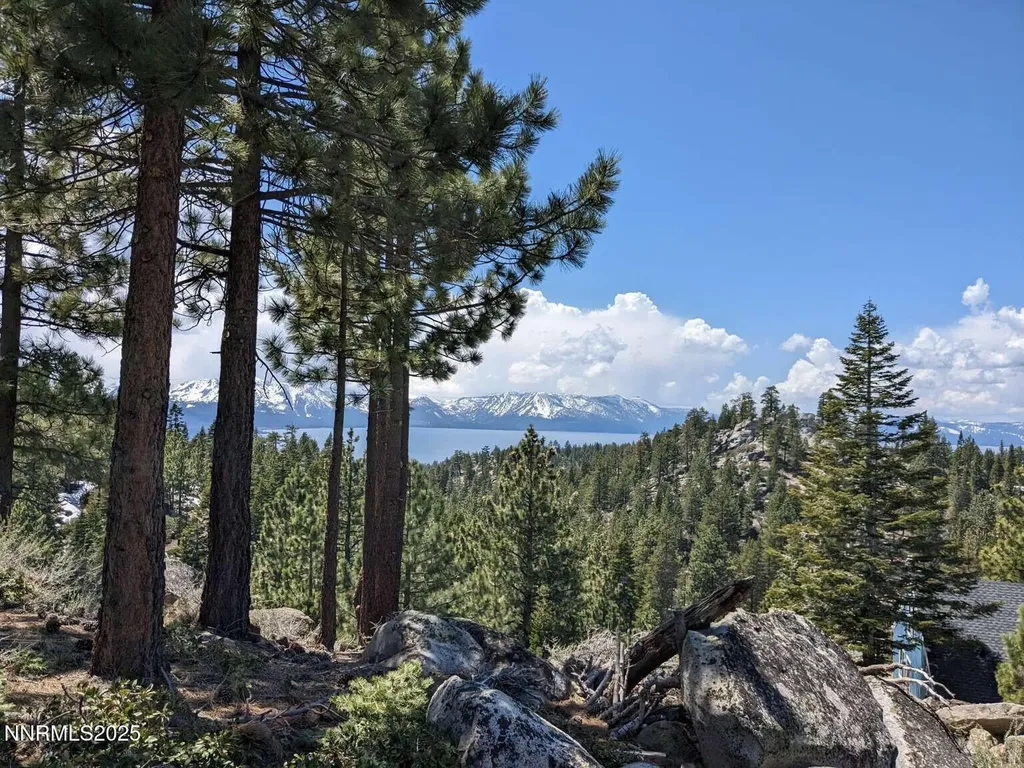 716 Tina Stateline NV 89449