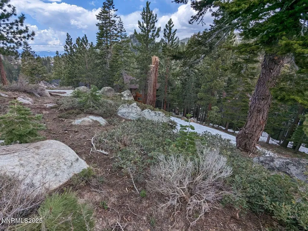 716 Tina Stateline NV 89449