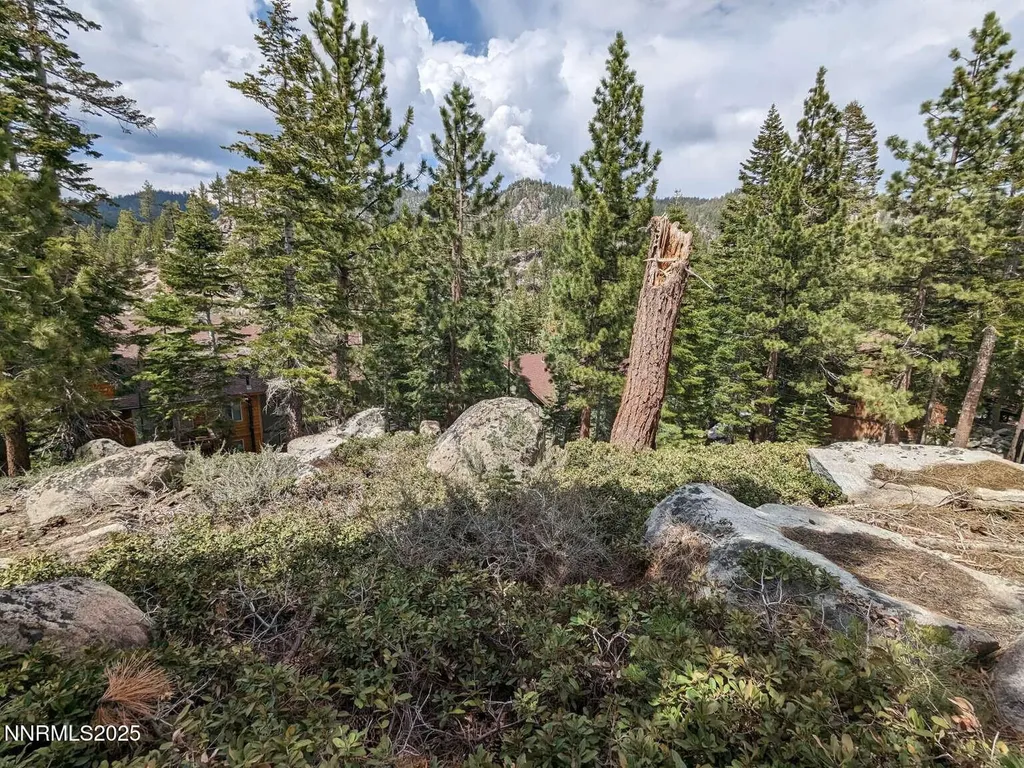 716 Tina Stateline NV 89449