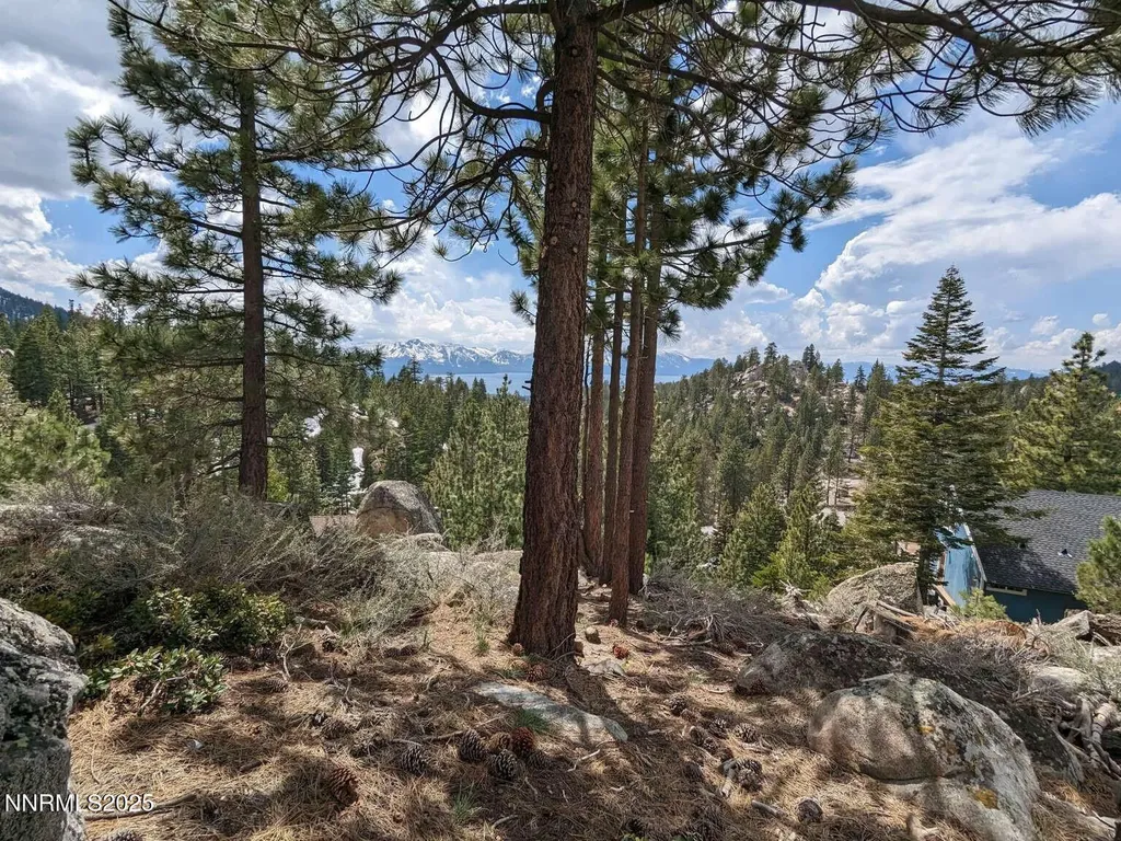 716 Tina Stateline NV 89449