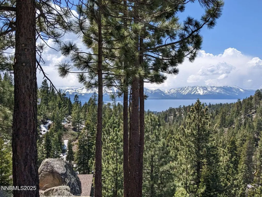 716 Tina Stateline NV 89449