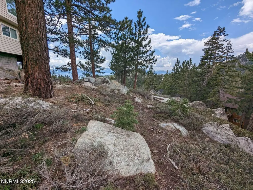 716 Tina Stateline NV 89449