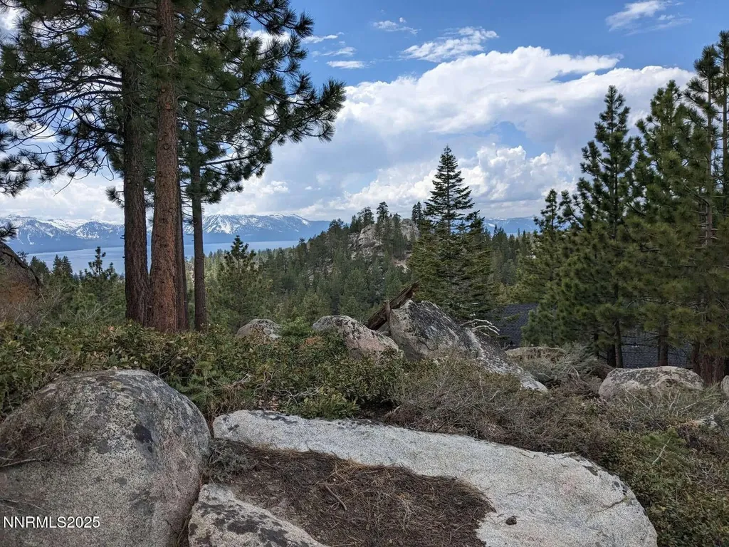 716 Tina Stateline NV 89449