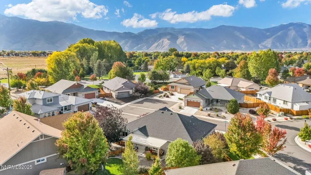 1707 Monticello Minden NV 89423