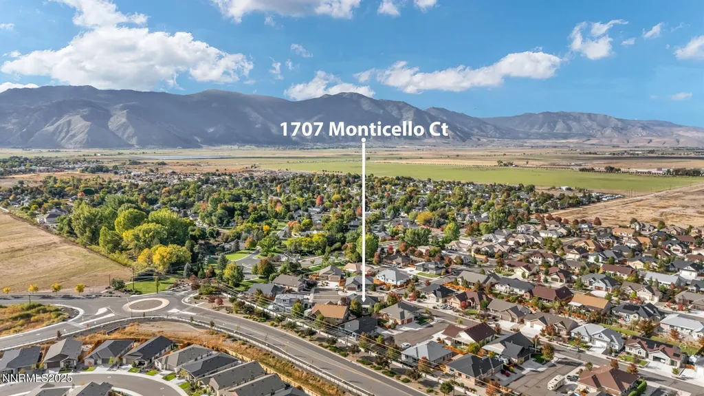 1707 Monticello Minden NV 89423