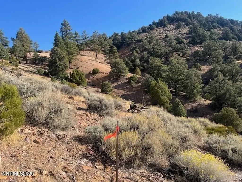 Virginia City NV, Buckeye, Off Of