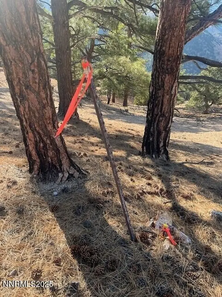 0 Buckeye, Off Of Virginia City NV 89440