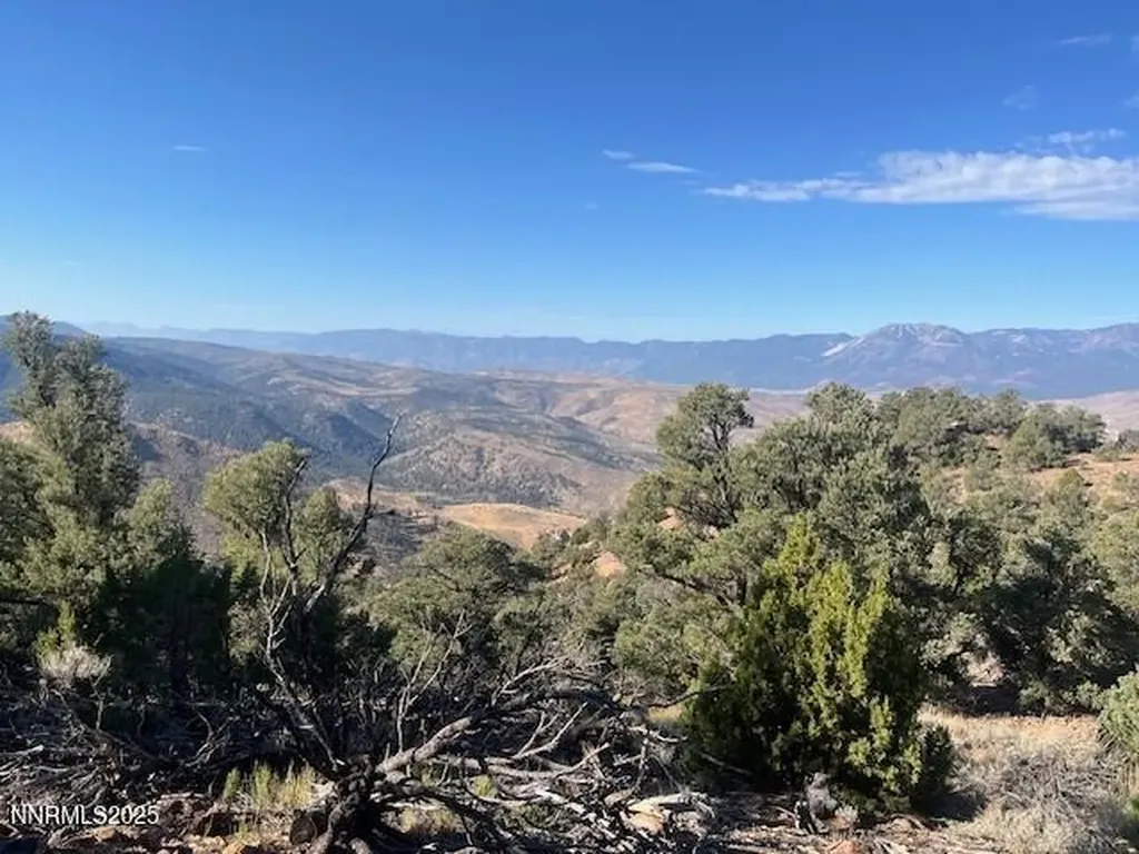 0 Buckeye, Off Of Virginia City NV 89440